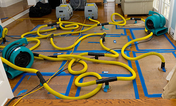 Professional Water Damage Restoration technician working in Weston, WV