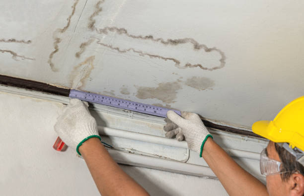 Affordable Water Damage Repair solutions in Weston, WV
